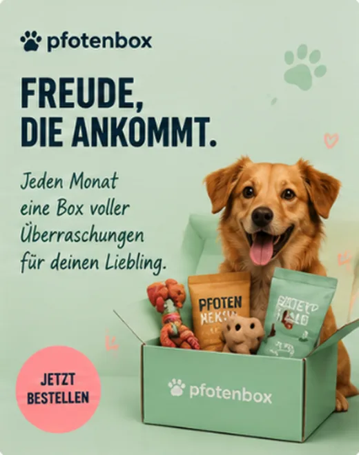 Social-Media-Beitrag im Markenstil eines Tierbedarfsladens